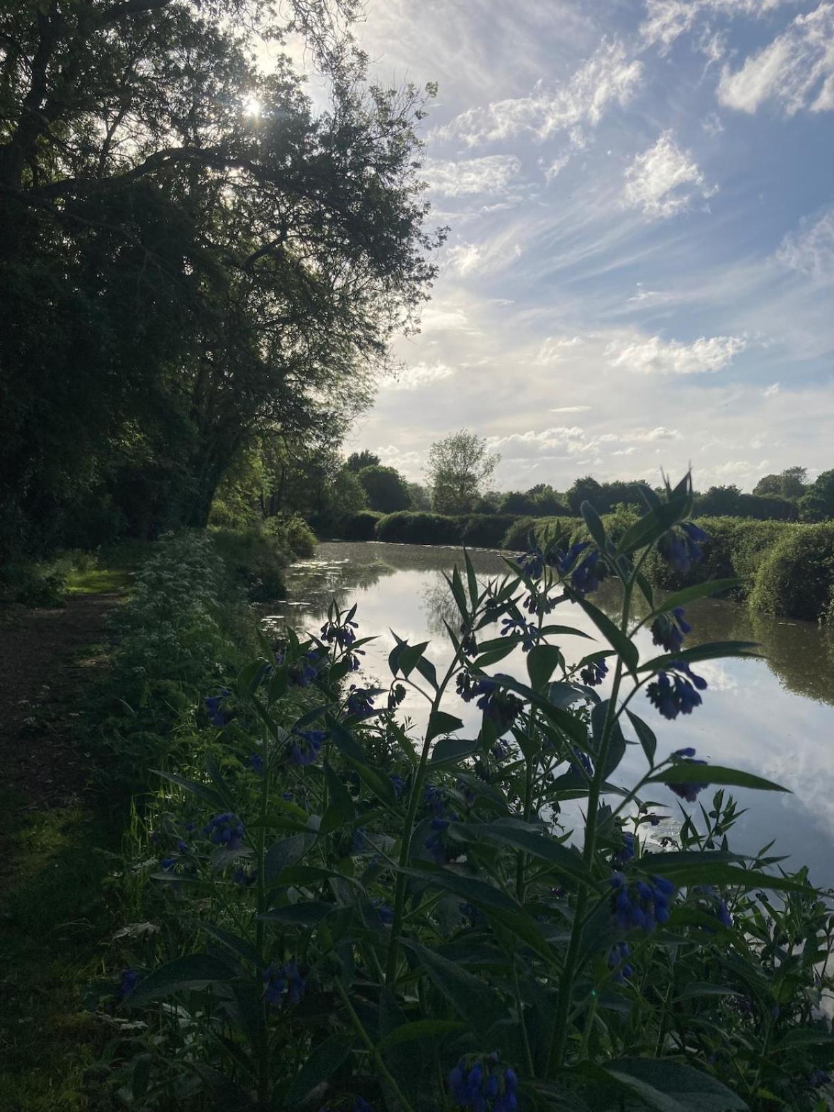 Dutch Cruiser Ship On A Tranquil Secluded River Tonbridge Dış mekan fotoğraf